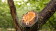 阿爾金山自然保護(hù)區(qū)附近哪個(gè)賓館又好又便宜